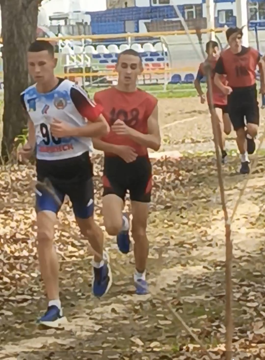 Izobrazenie WhatsApp 2025 09 29 v 13.02.23 3a0c776b